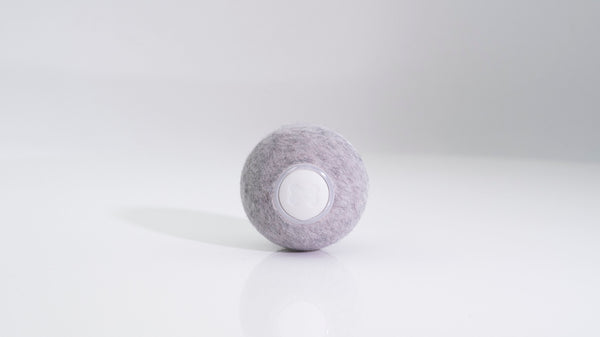 Cat Mini Wickedball