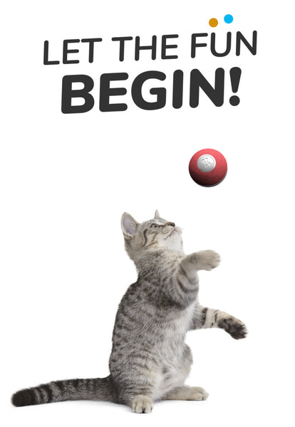 Cat Mini Wickedball